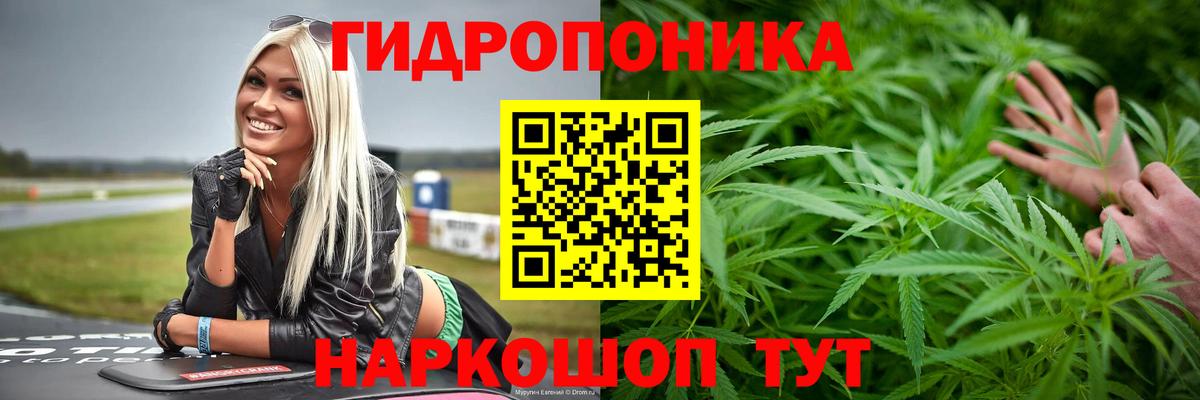 Бошки Шишки тримм  Вход с VPN  Березники  Конопля Ganja  Бошки марихуана индика  Бошки марихуана Bruce Banner 